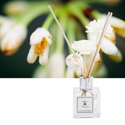 Ambientador de aceites esenciales - Erlif