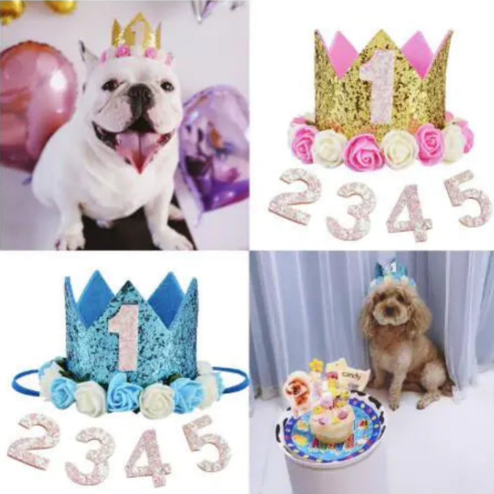 Diadema de cumpleaños para mascotas - Erlif