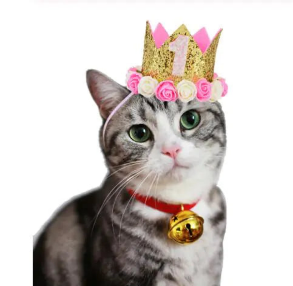 Diadema de cumpleaños para mascotas - Erlif