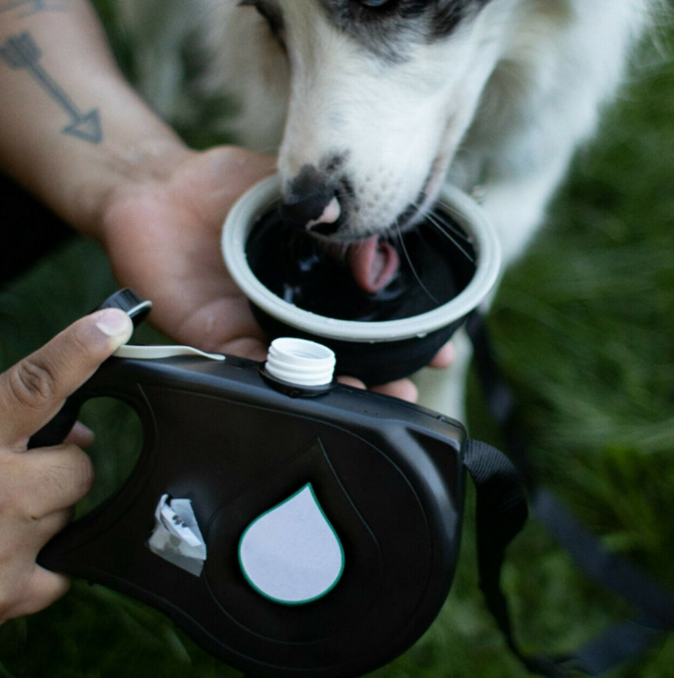 Arnés para mascotas con botella portátil