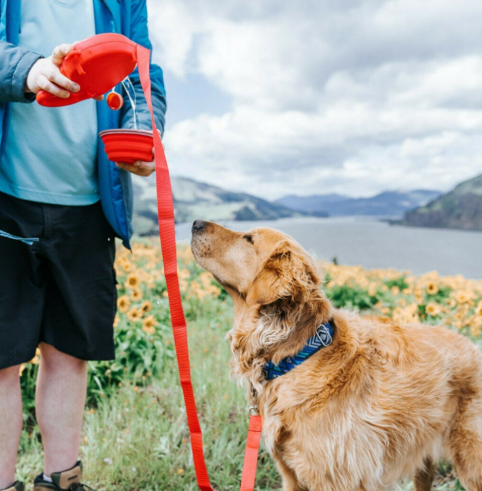 Arnés para mascotas con botella portátil