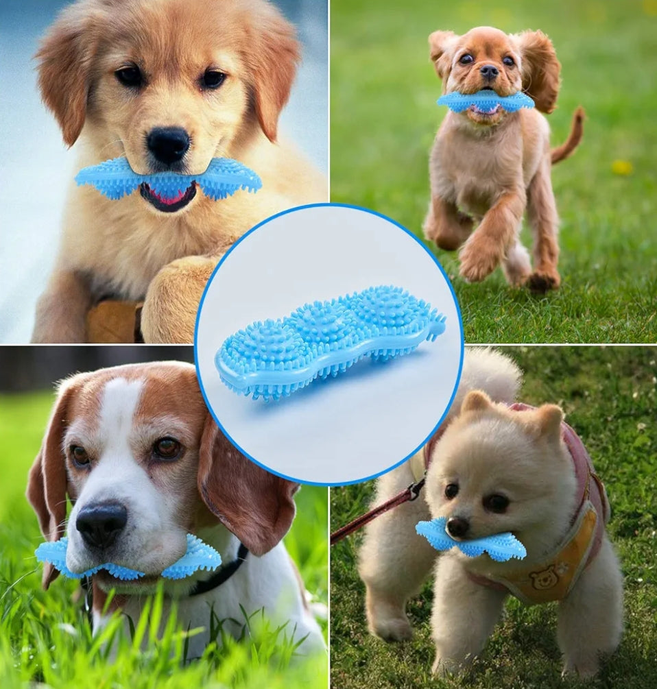 Juguete para cachorros masticable - Erlif