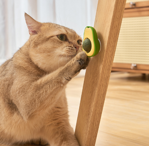 Juguete para gatos de hierba gatera - Erlif