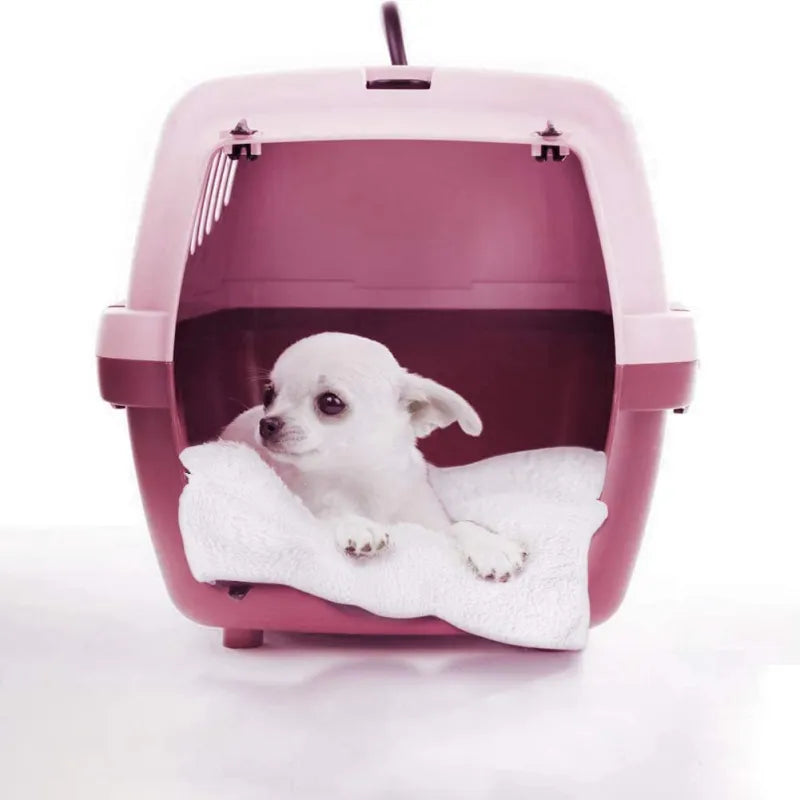 Cojín autocalentable para mascotas