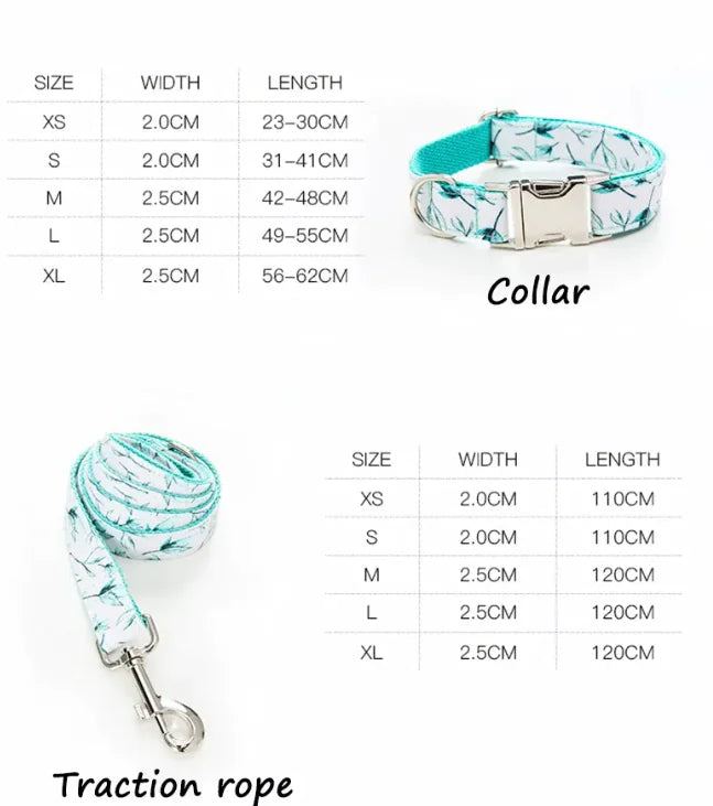 Conjunto de collar y correa para perros