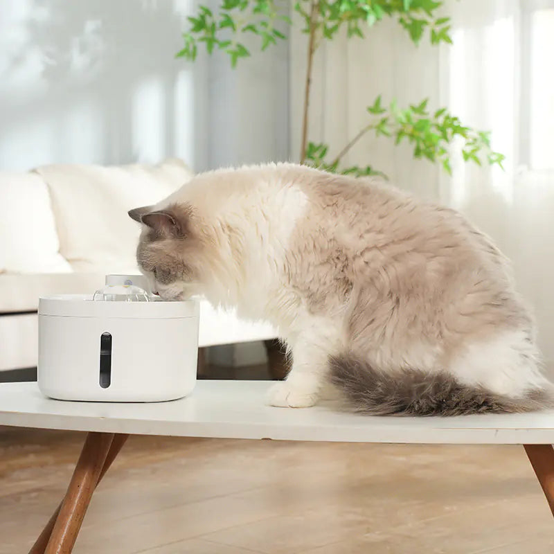 Fuente de agua automática para mascotas