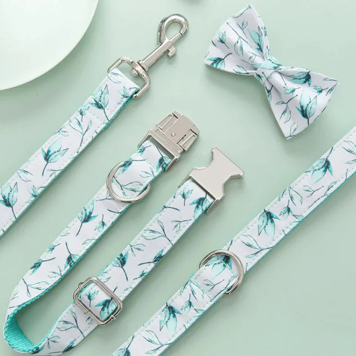 Conjunto de collar y correa para perros