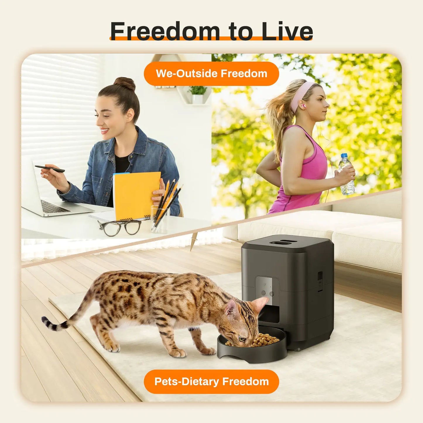 Comedero automático para mascotas