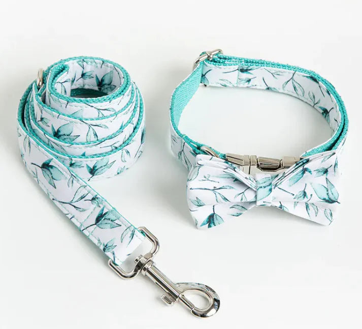 Conjunto de collar y correa para perros