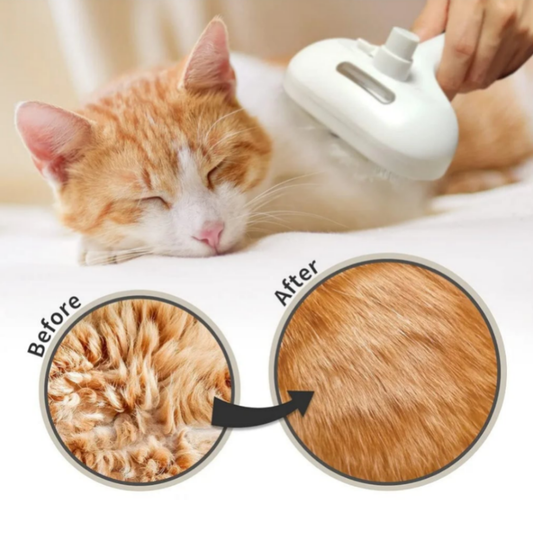 Cepillo autolimpiable para mascotas - Erlif 
