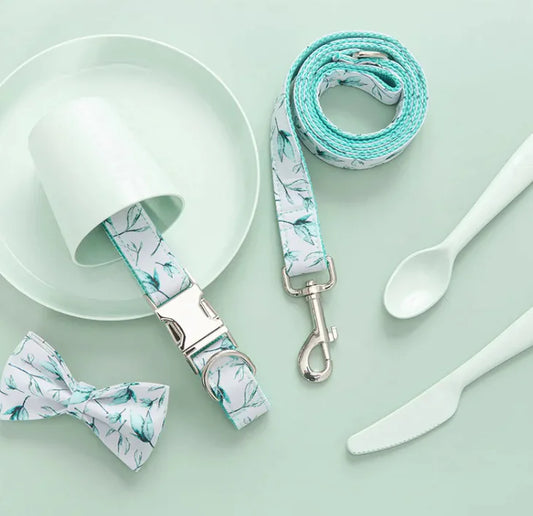 Conjunto de collar y correa para perros