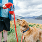 Arnés para mascotas con botella portátil