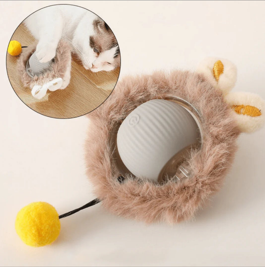 Plush-lined ball for cats