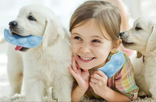 Juguete para cachorros masticable