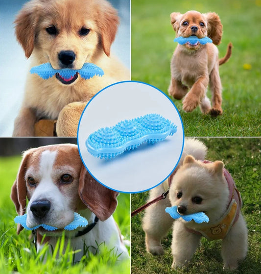 Juguete para cachorros masticable - Erlif 