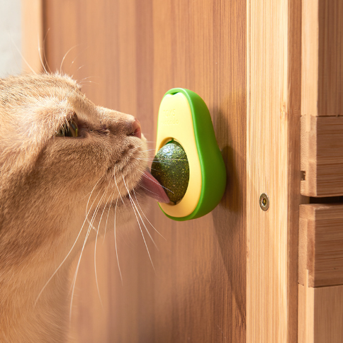 Juguete para gatos de hierba gatera - Erlif 