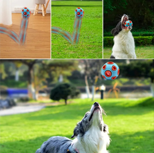 Pelota interactiva para perros - Erlif 