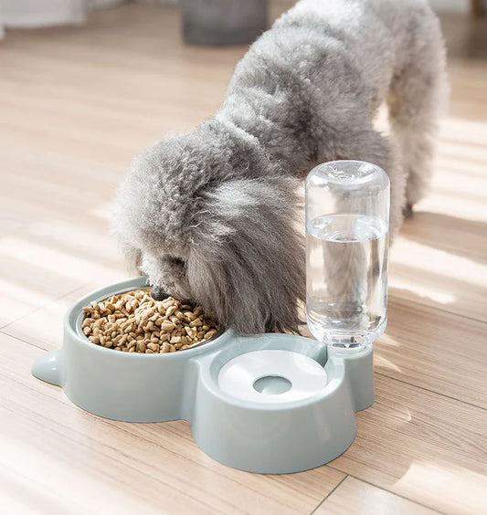 Comedero de acero inoxidable con dispensador de agua