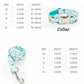 Conjunto de collar y correa para perros