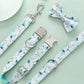 Conjunto de collar y correa para perros